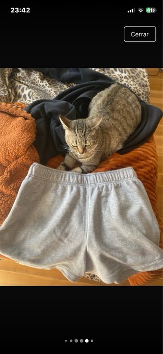Pantalón corto Nike gris