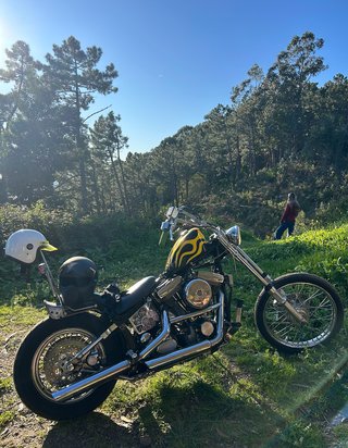 Harley Davidson Softail FXST Chopper