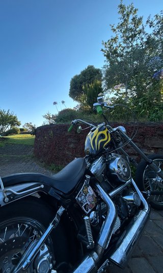 Harley Davidson Softail FXST Chopper