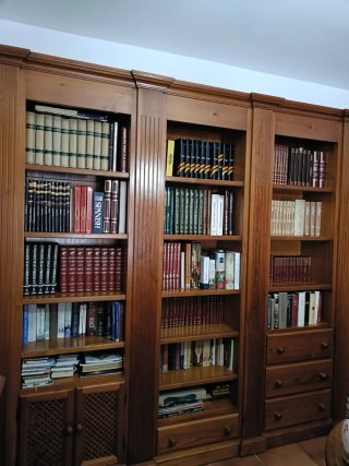 Librería de madera maciza