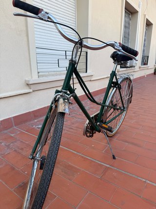 Bicicleta verde vintage