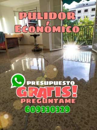 Pulidor de suelos Muy económico