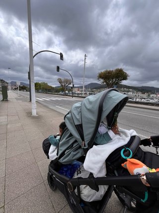 Carrito Gemelar Verde