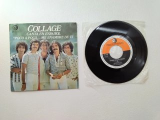 Vinilo Collage Canta en Español