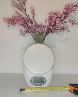 Báscula digital Soehnle 5kg