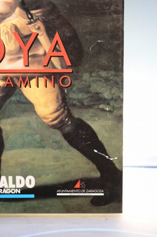 Libro. Goya, en el camino – T. Grasa. Heraldo de Aragón, 1992.