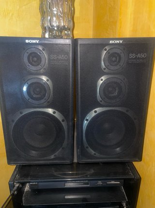 Equipo Sonido Sony XO-D301