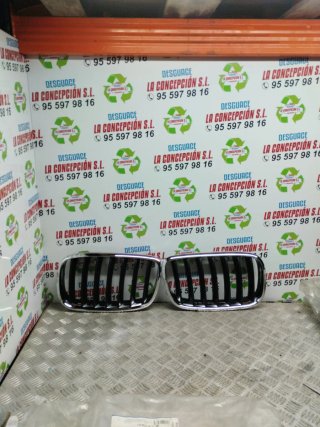 Rejillas BMW X5 (2006)
