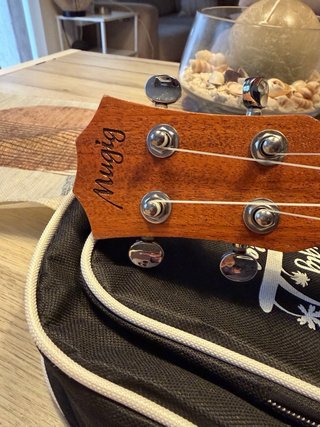 Ukelele Bbw con funda