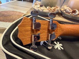 Ukelele Bbw con funda