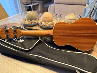 Ukelele Bbw con funda
