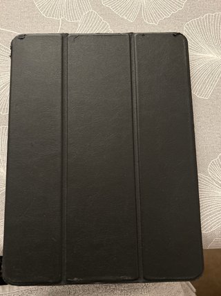 Apple iPad Air Plata