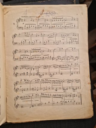 Partitura La Palmera Manuel Palau