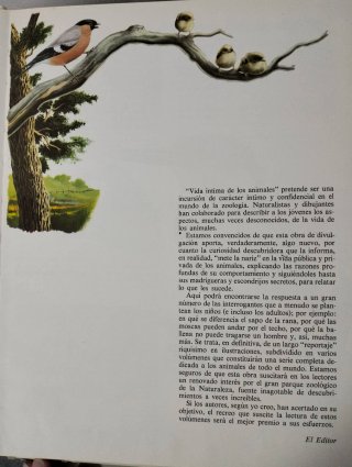 Vida Intima de Los Animales Del Rio y Del Estanque
