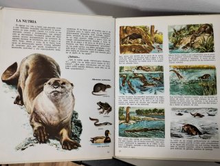 Vida Intima de Los Animales Del Rio y Del Estanque
