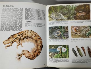 Vida Intima de Los Animales Del Rio y Del Estanque