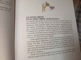 Cómo nacen los niños la aventura de un niño y d...