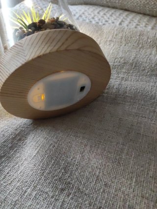 Pianta decorativa in vetro con luci LED