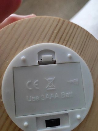 Pianta decorativa in vetro con luci LED