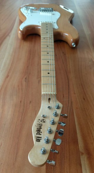 Guitarra Stratocaster Telecaster PlayerII & TEX