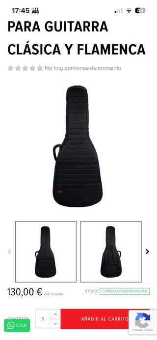 Funda de guitarra negra acolchada
