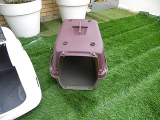3 Transportines/Areneros para Mascotas