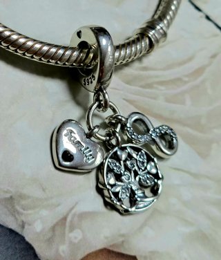Abalorio Charm Plata S925. Family