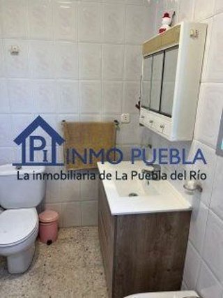 Casa rural en venta en Puebla del Río (La)