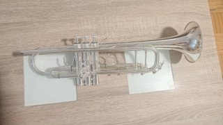 Trompeta Aureus Brass versátil model