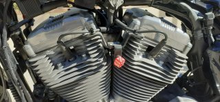 Harley Davidson Sportster XL883