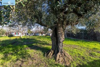 Casa rural en venta en Otura