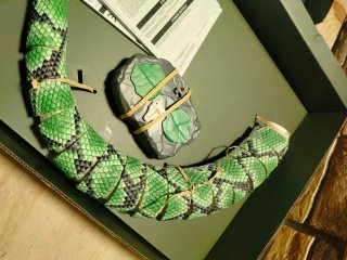 Serpiente RC Power Python 75 cm LEXIBOOK