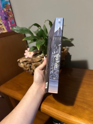 Livro Harry Potter