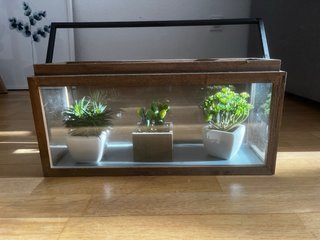 Terrario Madera y Cristal 45x15 cm