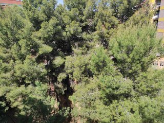 Piso en venta en La Plana en Esplugues de Llobregat