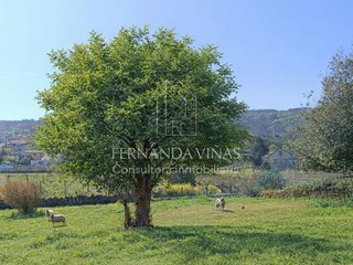 Chalet en venta en Soutomaior