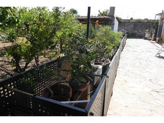 Chalet en venta en Zona Poble en Benicarló