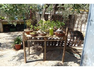 Chalet en venta en Zona Poble en Benicarló