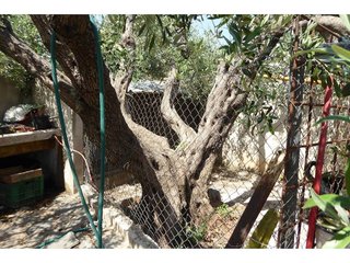Chalet en venta en Zona Poble en Benicarló