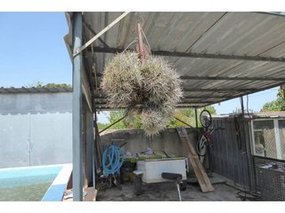 Chalet en venta en Zona Poble en Benicarló