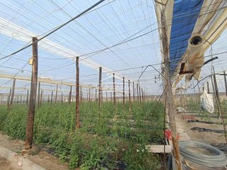 Casa rural en venta en Motril pueblo en Motril