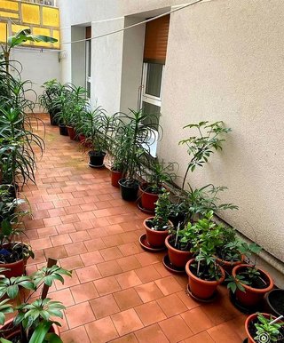 Piso en venta en Laviada en Gijón