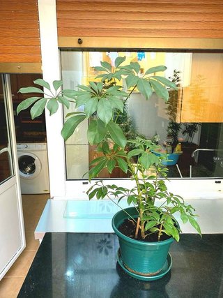 Piso en venta en Laviada en Gijón