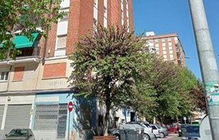 Piso en venta en El Pilar - La Estación en Talavera de la Reina