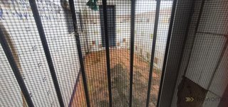 Chalet en venta en Avda. Elvas en Badajoz
