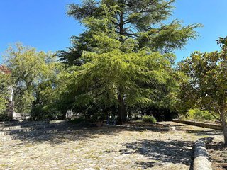 Chalet en venta en Ontinyent