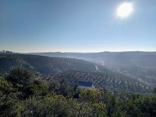 Casa en venta en Montoro