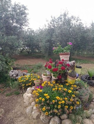 Casa rural en venta en Cantillana