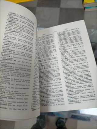 Mini diccionario de la lengua española