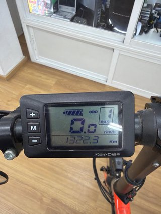 Bicicleta Eléctrica Ebroh Pasion Carbono